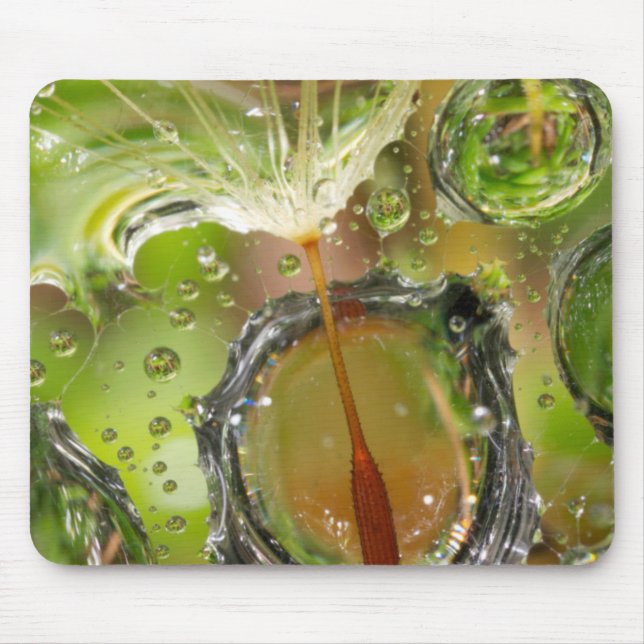 Water on dandelion seed, CA Mouse Pad (Front)