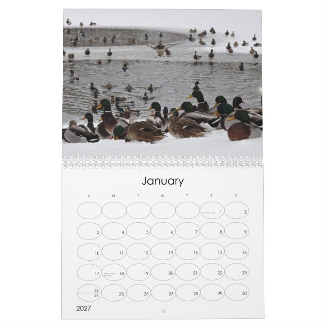 Water on the Brain 2 Calendar (Jan 2027)