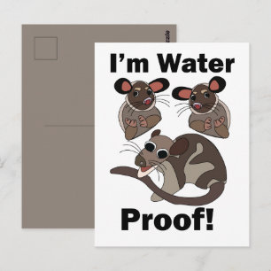 Water Opossum I'm Water Proof Funny Postcard