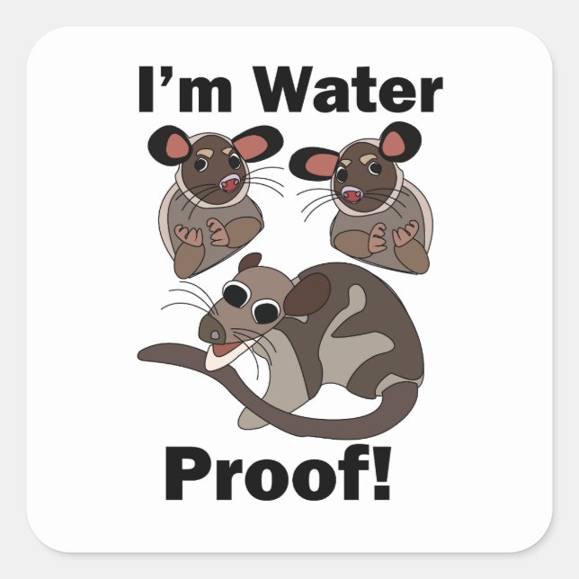 Water Opossum I'm Water Proof Funny  Square Sticker (Front)