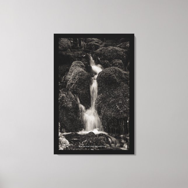 Water Over Moss Canvas Print (Front)