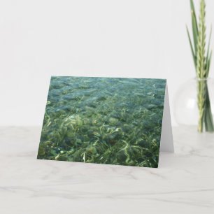 Water over Sea Grass I Caribbean Nature Card
