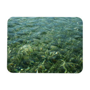Water over Sea Grass I Caribbean Nature Magnet