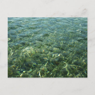 Water over Sea Grass I Caribbean Nature Postcard