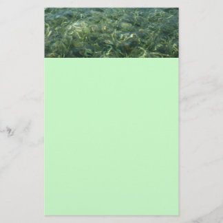Water over Sea Grass I Caribbean Nature Stationery