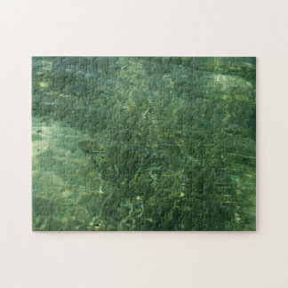 Water over Sea Grass II (Blue and Green) Photo Jigsaw Puzzle