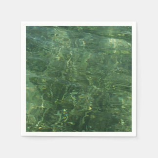 Water over Sea Grass II (Blue and Green) Photo Napkin