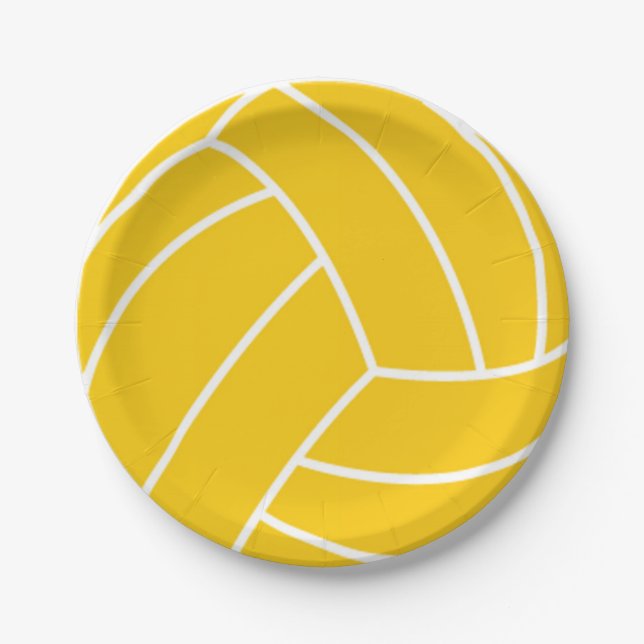 Water Polo Ball Paper Plates (Front)