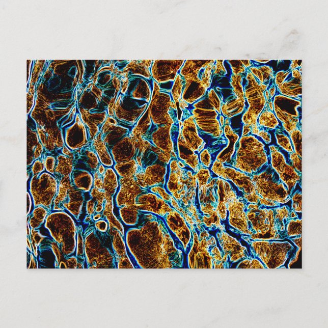 WATER POSTCARD (Front)