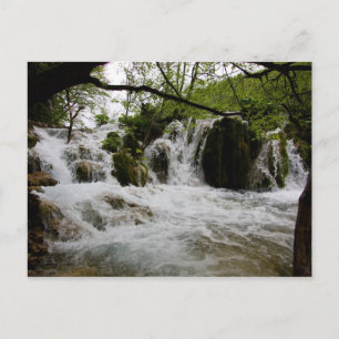 Water Postcard