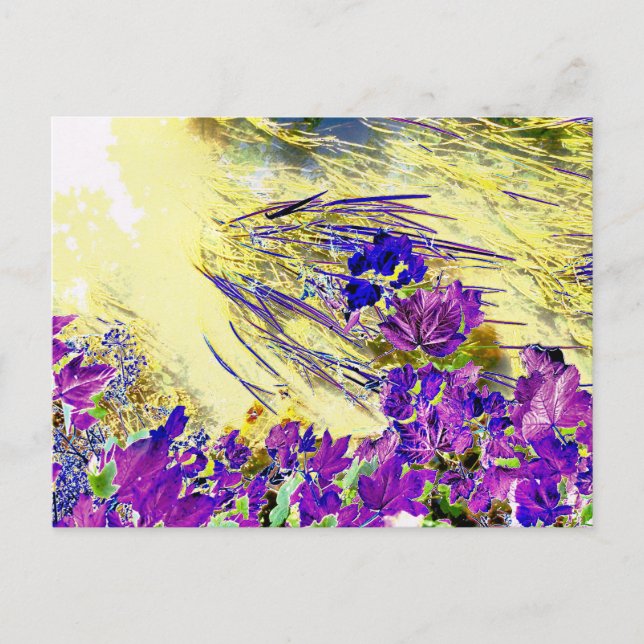 WATER POSTCARD (Front)