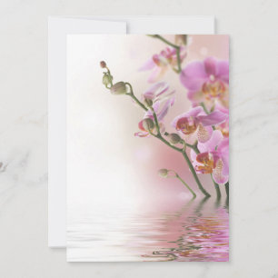 Water reflection orchids invitations