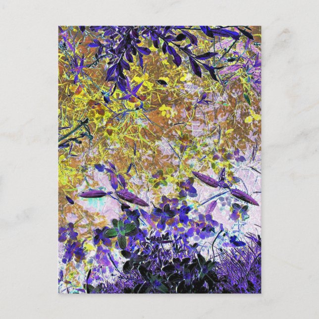 WATER REFLECTIONS POSTCARD (Front)