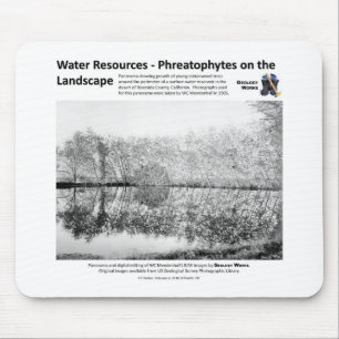 Water Resources I - Phreatophytes on the Landscape Mouse Pad