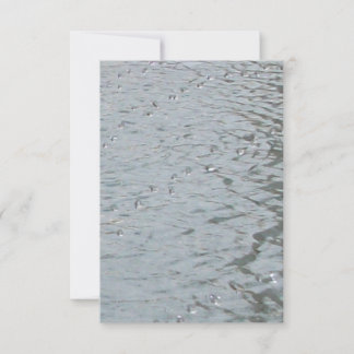 Water Ripples