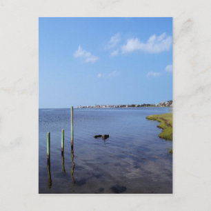 Water Scene - Wooden Post Markers Postcard