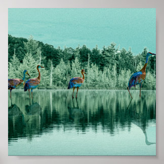 Water Song  Poster