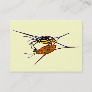 Water Strider ATC Business Card