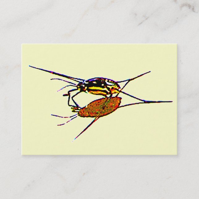 Water Strider ATC Business Card (Front)