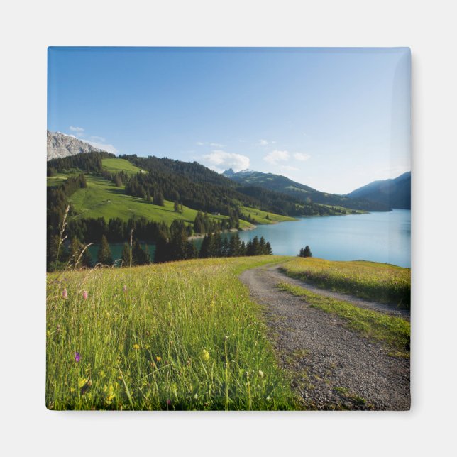 Water | Swiss Alps Footpath Magnet (Front)
