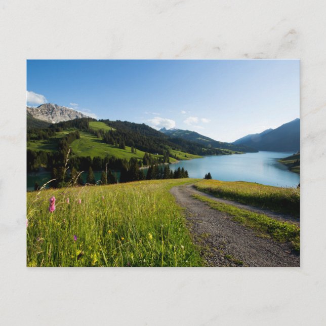 Water | Swiss Alps Footpath Postcard (Front)