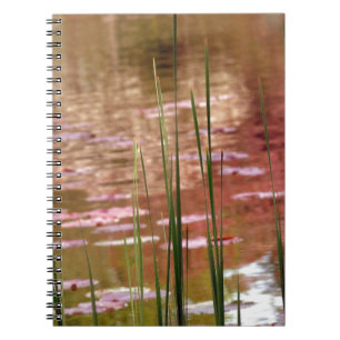 Water Through Reeds Spiral Notebook