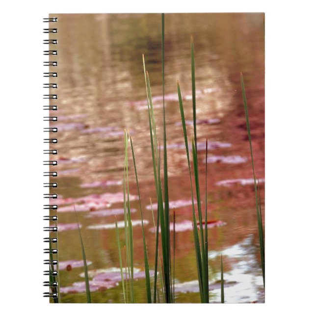 Water Through Reeds Spiral Notebook (Front)