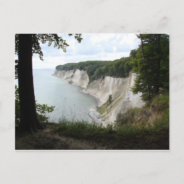 Water Trees Nature Cliffs Peace Love Destiny Postcard (Front)