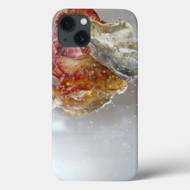 Water Tulip 1 2013 photograph Case-Mate iPhone Case (Back)