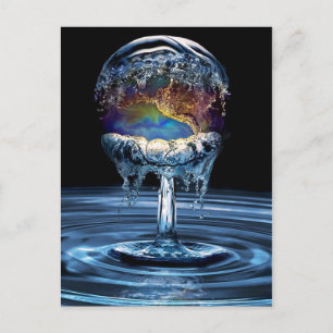 Water War Postcard