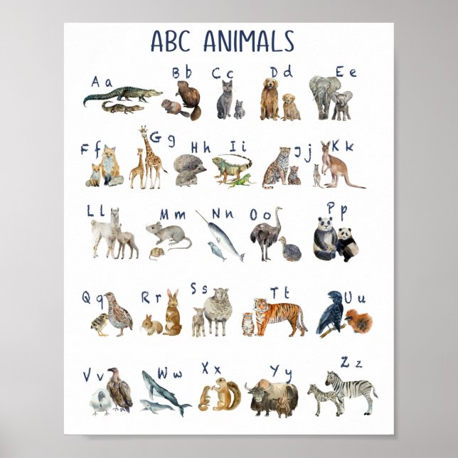 Watercolor Abc Animals Poster (Front)