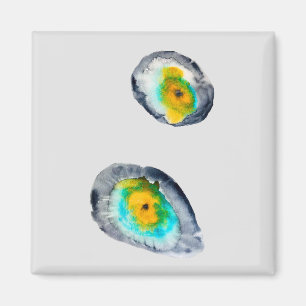 watercolor abstract oyster shells magnet