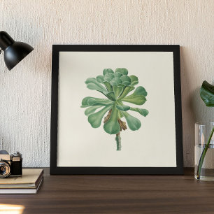 Watercolor Antique Botanical Cactus Print Poster