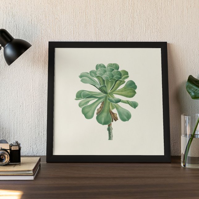  Watercolor Antique Botanical Cactus Print Poster (Watercolor Antique Botanical Cactus Print Poster)