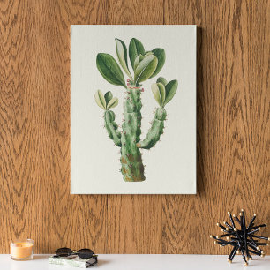 Watercolor Antique Botanical Cactus Print Poster