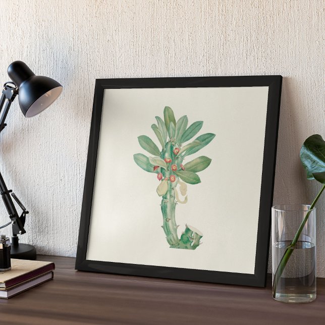 Watercolor Antique Botanical Print Poster (Watercolor Antique Botanical Cactus Print Poster)