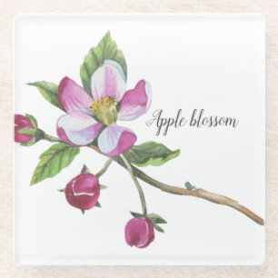 Watercolor Apple Blossom Botanical Glass Coaster