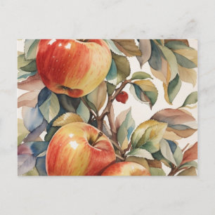 Watercolor Apple Postcard