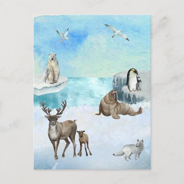 Watercolor Arctic Animals Scene  Postcard (Front)
