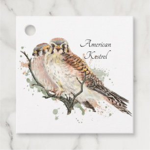 Watercolor Art Birding Kestrel Couple Favour Tags