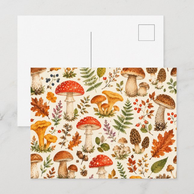 Watercolor Autumn Mushroom Pattern  Postcard (Front/Back)