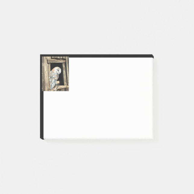 Watercolor Barn Owl Bird in Window  Post-it Notes (Front)