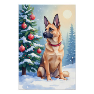 Watercolor Belgian Malinois Evergreen Christmas Poster