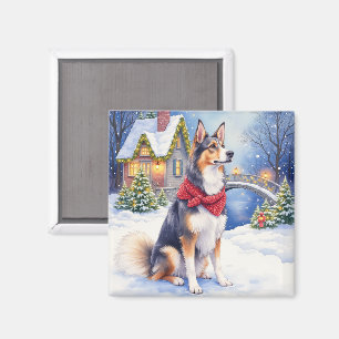 Watercolor Belgian Sheepdog Winter Christmas Magnet