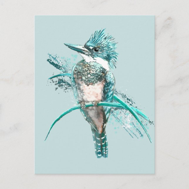 Watercolor  Belted Kingfisher Bird  Animal Postcard (Front)