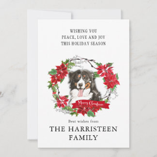 Watercolor Bernese Mountain Dog Poinsettia Wreath Holiday Card
