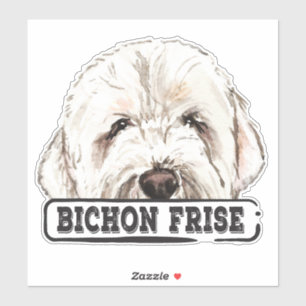 Watercolor Bichon Frise