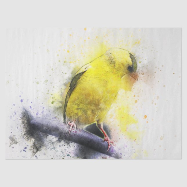 Watercolor Bird  5 Decoupage Wall Art Tissue Paper (Front)