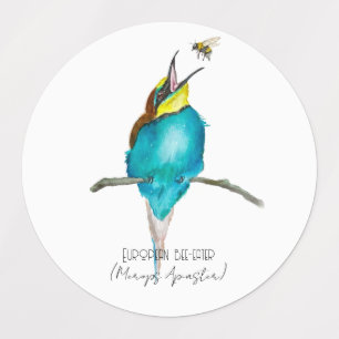 Watercolor bird (European bee-eater)