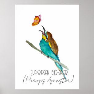 Watercolor bird (European bee-eater) Poster